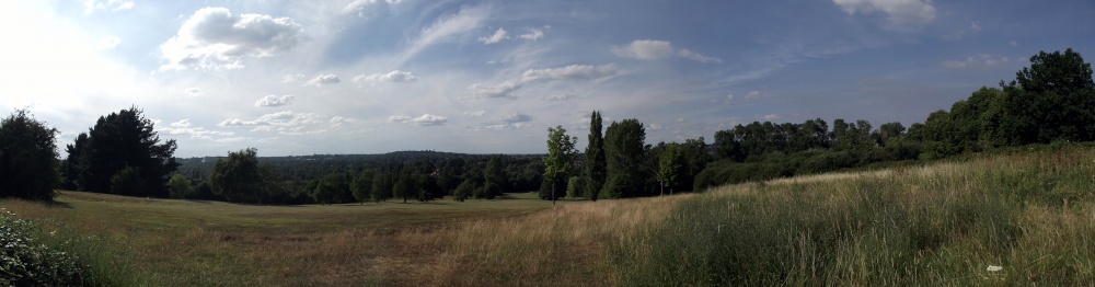 Haste Hill, Northwood Hills