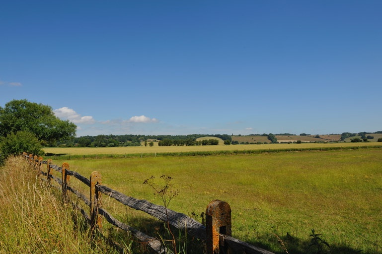 Countryside outside Wittersham - July 2010