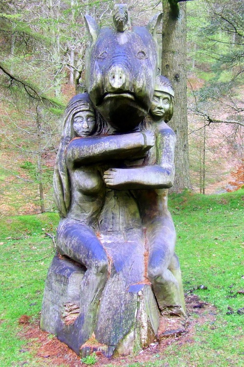 Cwmcarn Forest Drive