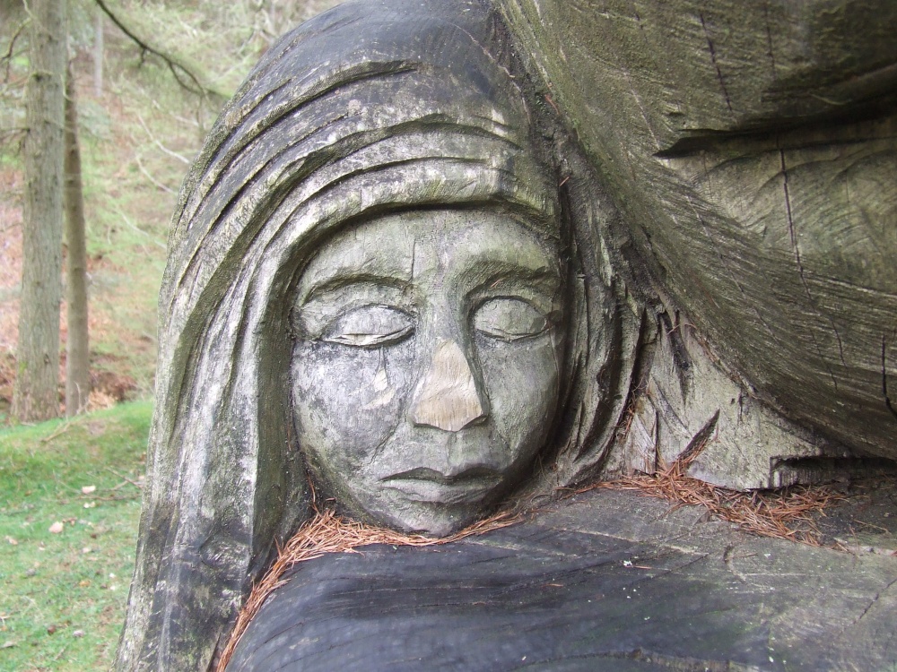 Photograph of Cwmcarn Forest Drive