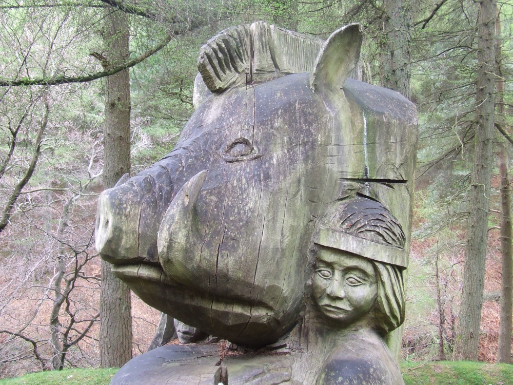 Cwmcarn Forest Drive