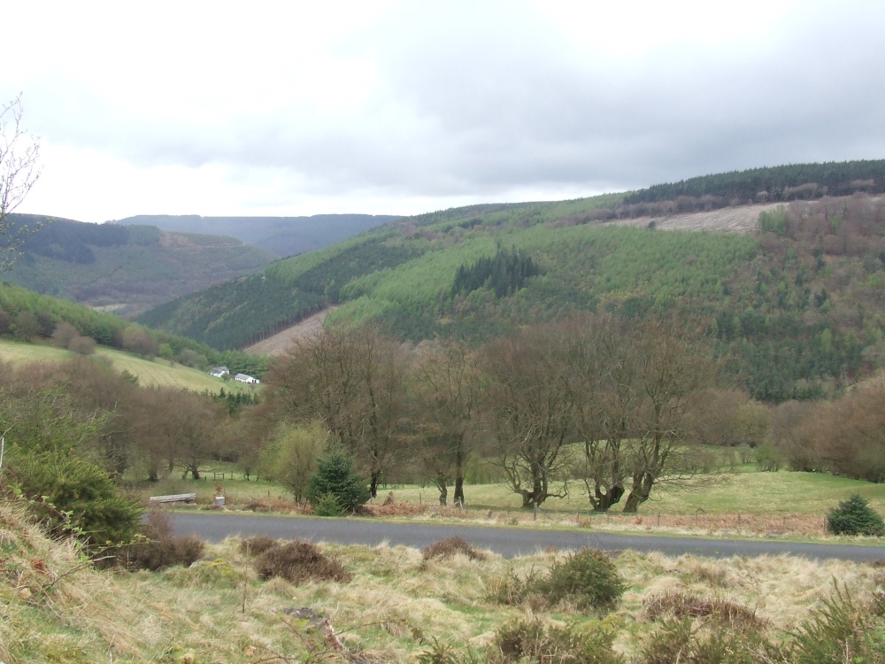 Cwmcarn Forest Drive