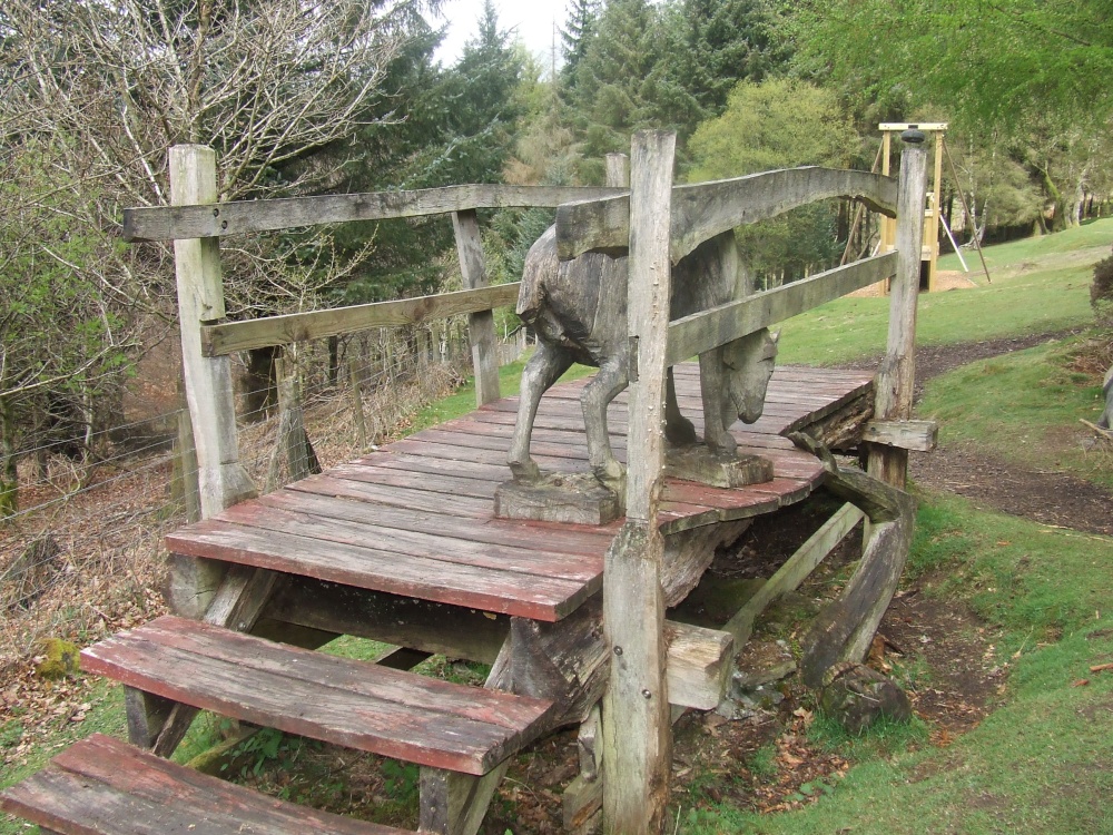 Cwmcarn Forest Drive