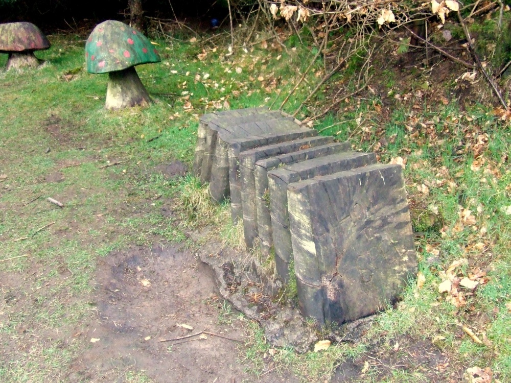 Cwmcarn Forest Drive