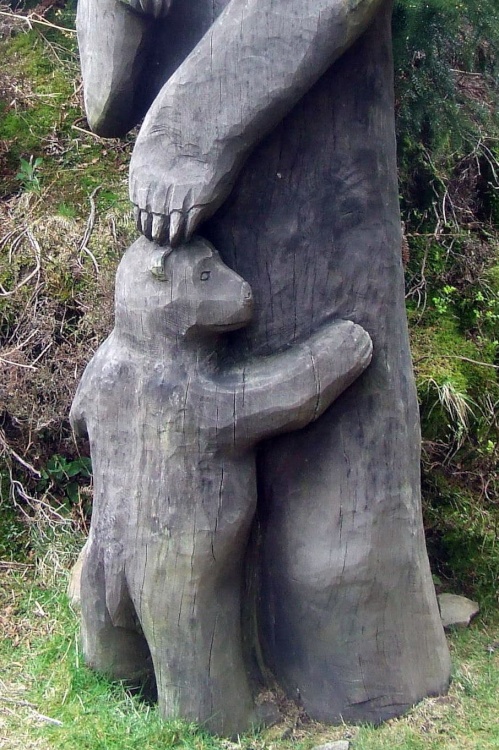 Cwmcarn Forest Drive