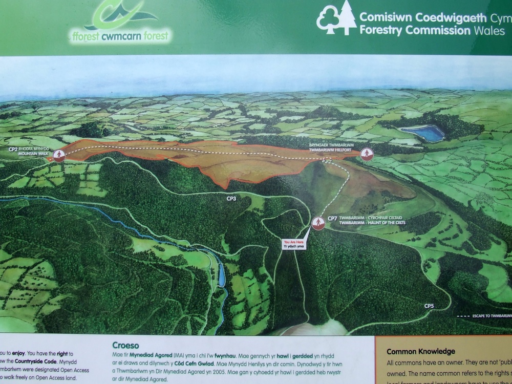 Cwmcarn Forest Drive