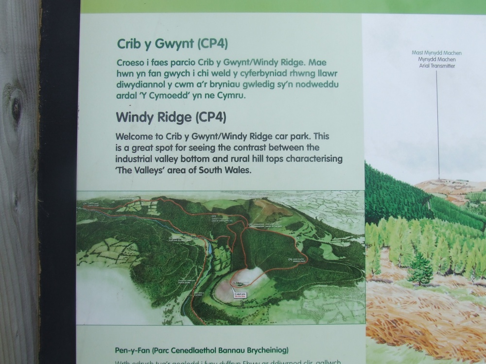 Cwmcarn Forest Drive