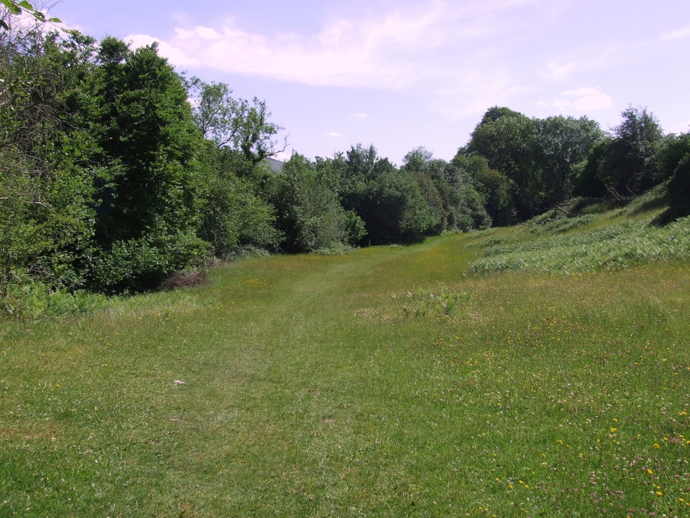 The Banks Of The River Grwyney (Near Llangenny)