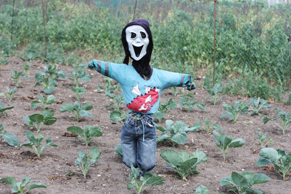 Redisham Hall Gardens