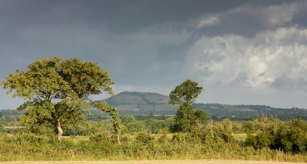 Photograph of Wedmore