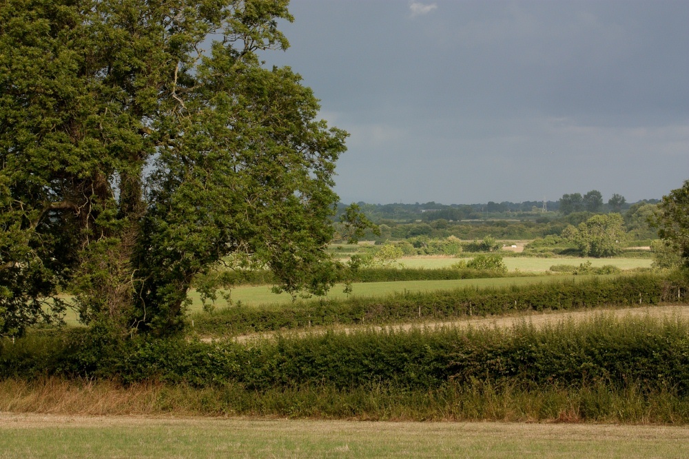 Photograph of Wedmore