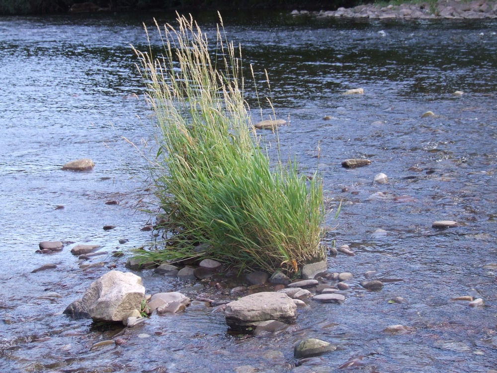 River Usk Crickhowell