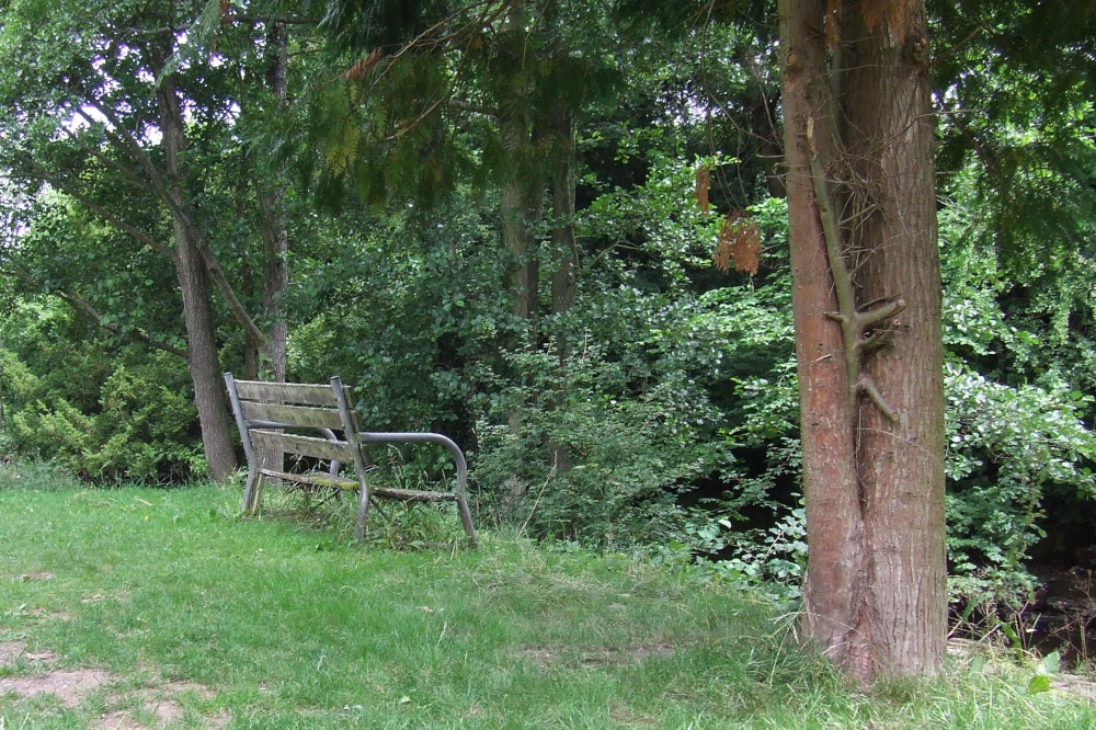Photograph of Bench on the River Monnow at Clodock