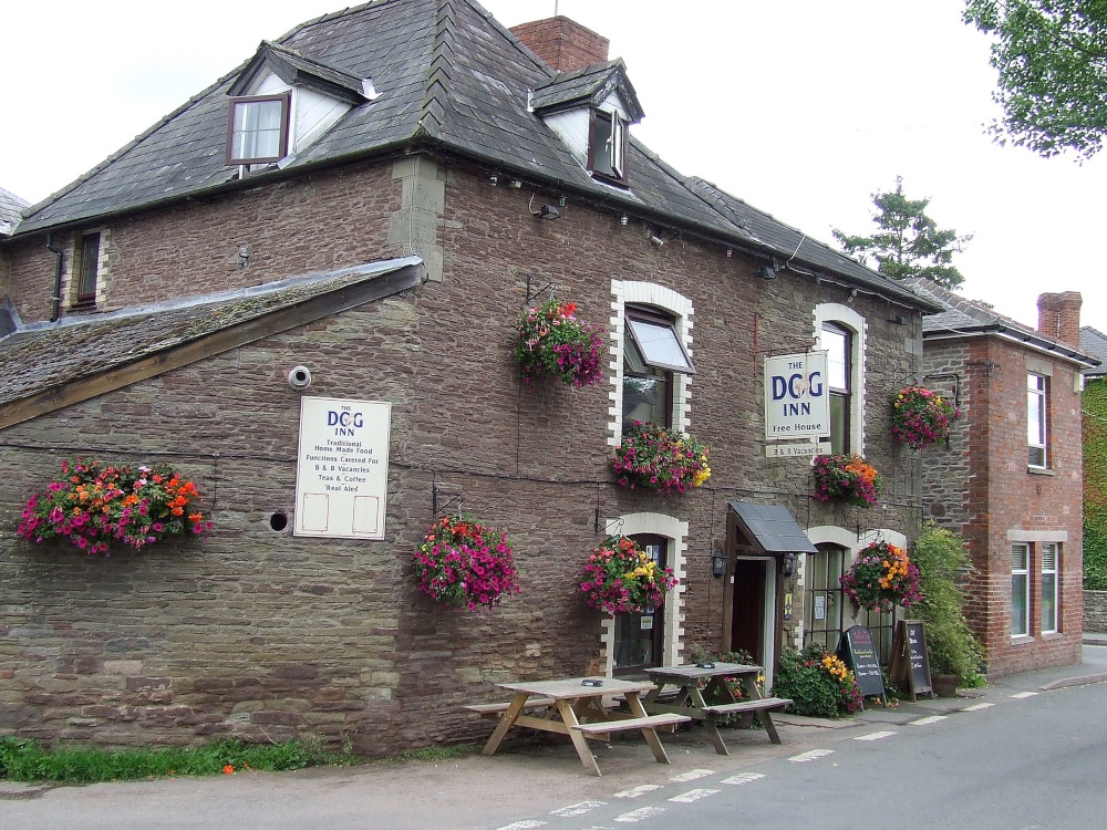 The Dog Inn, Ewyas Harold