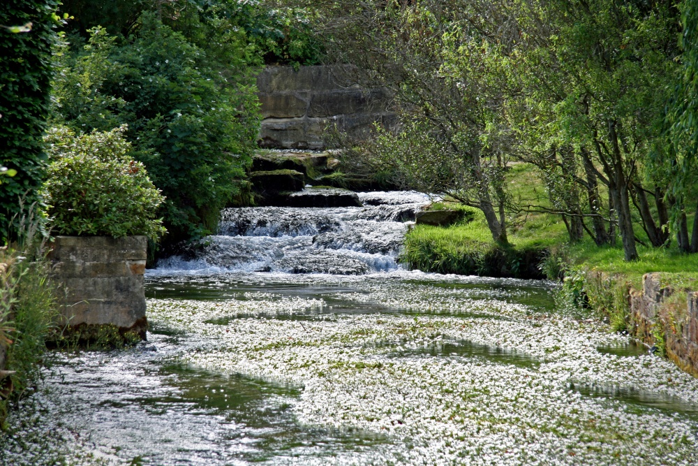Mill stream at Thornton-le-Dale Mill