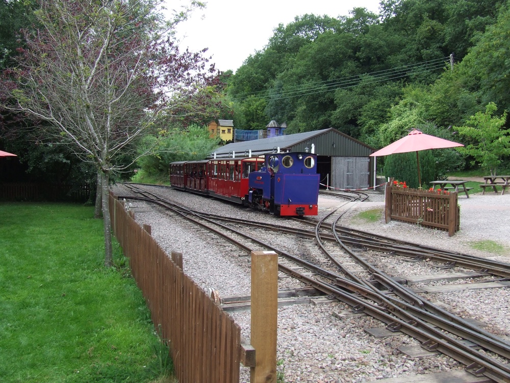 Perrygrove Railway and Treetop Adventure