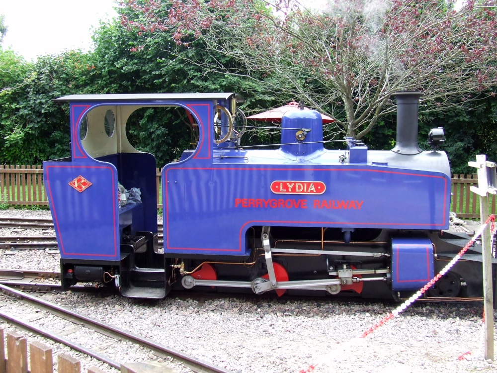 Perrygrove Railway and Treetop Adventure