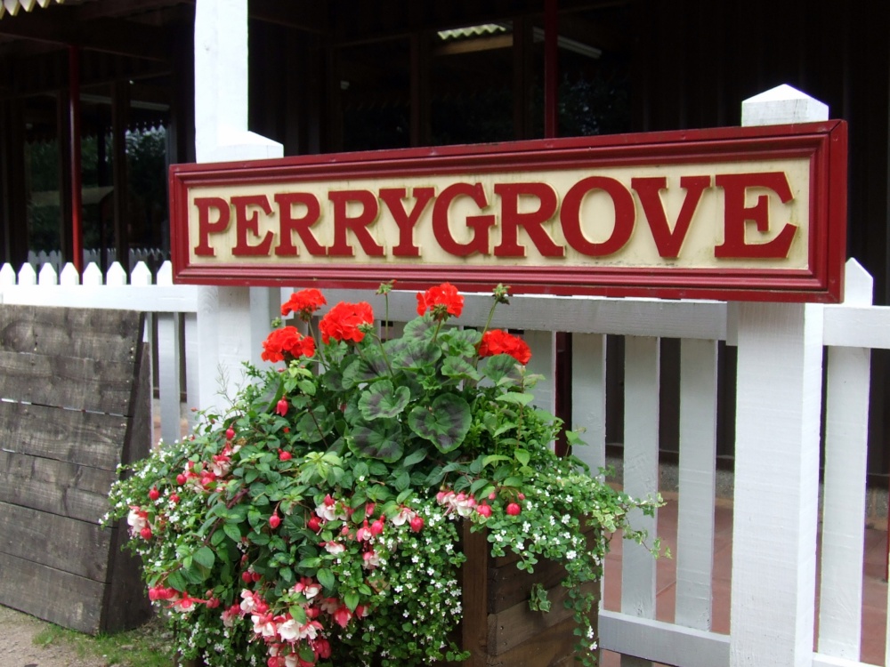 Perrygrove Railway & Treetop Adventure