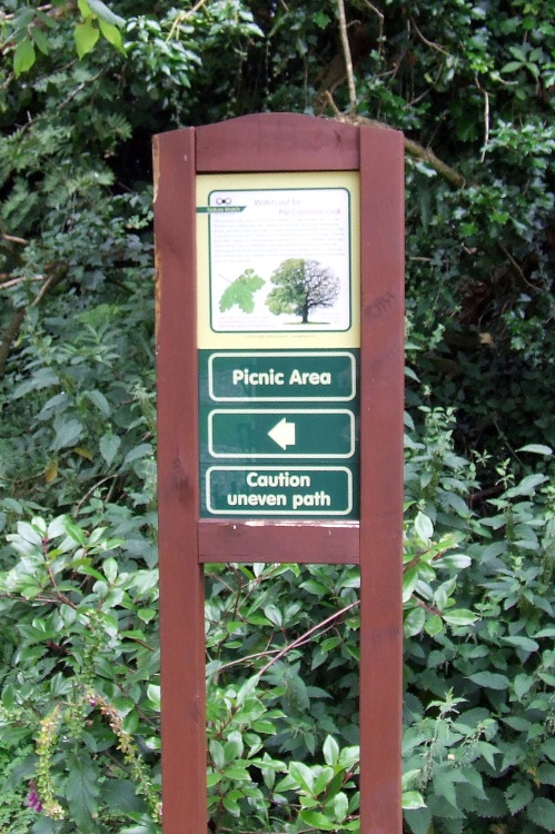 Perrygrove Railway and Treetop Adventure