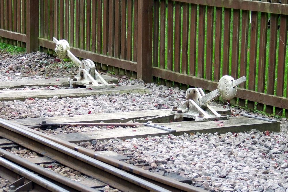 Perrygrove Railway and Treetop Adventure