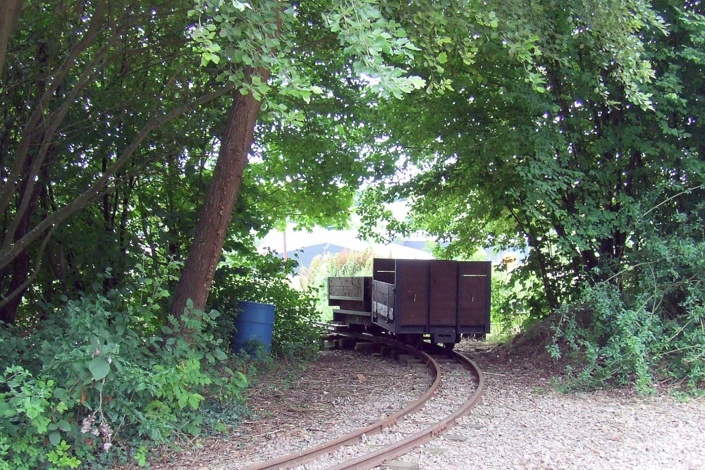 Perrygrove Railway and Treetop Adventure