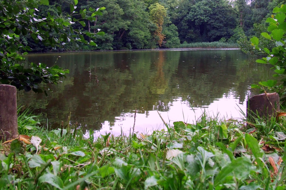Newent lake and park