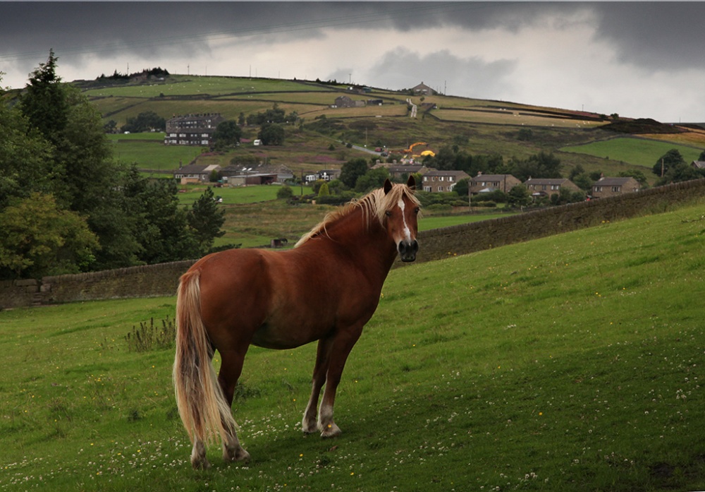Near Heptonstall, West Yorkshire