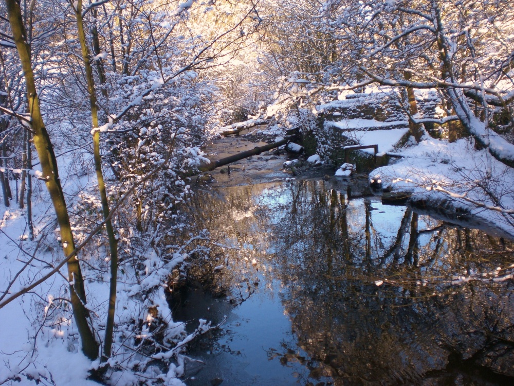 Photograph of Winter