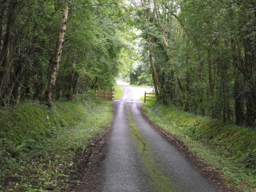 Irish country lane