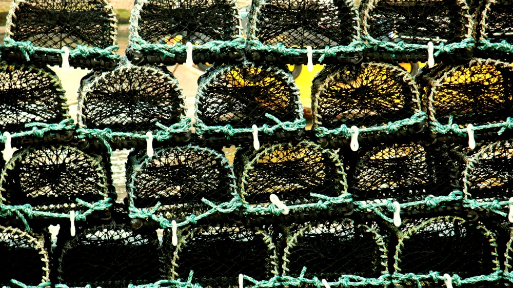 Lobster pots on the quayside