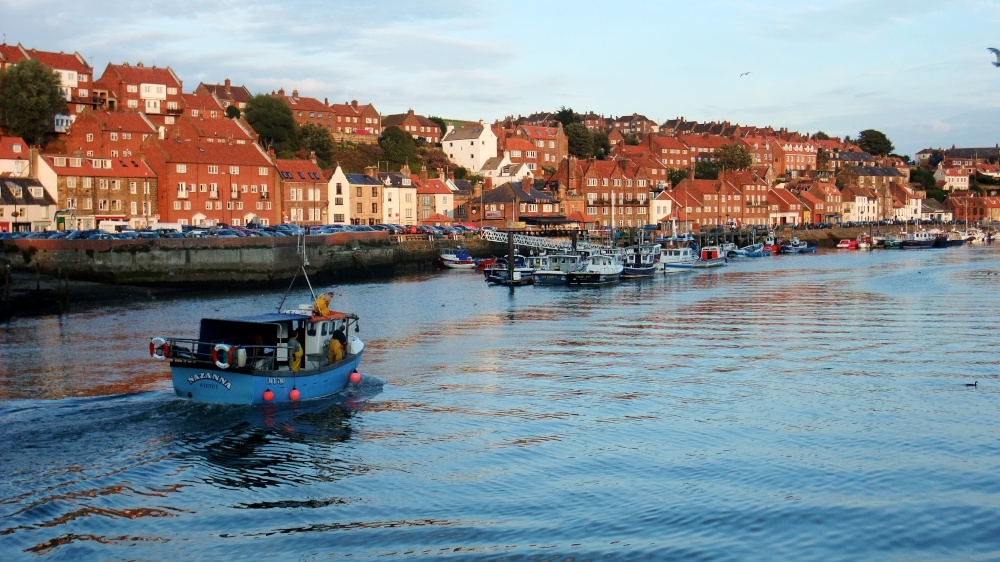Evening harbour shot