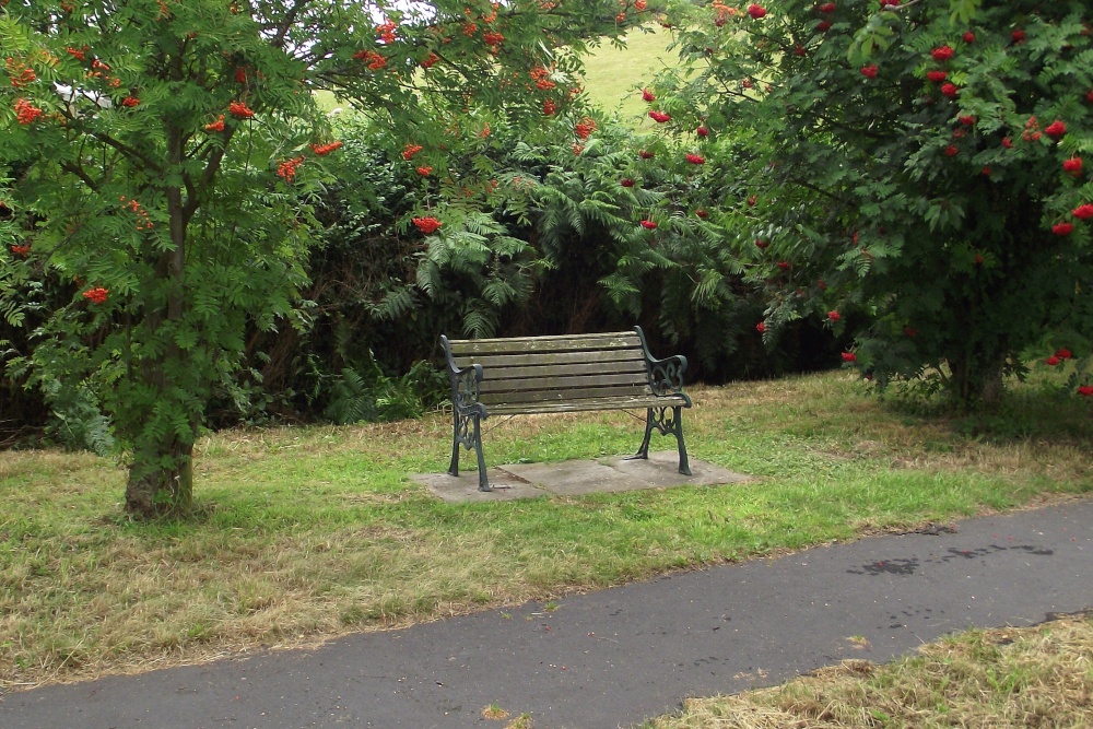 Bench on the Green
