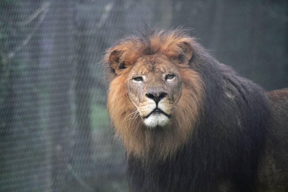 Photograph of Sparkwell