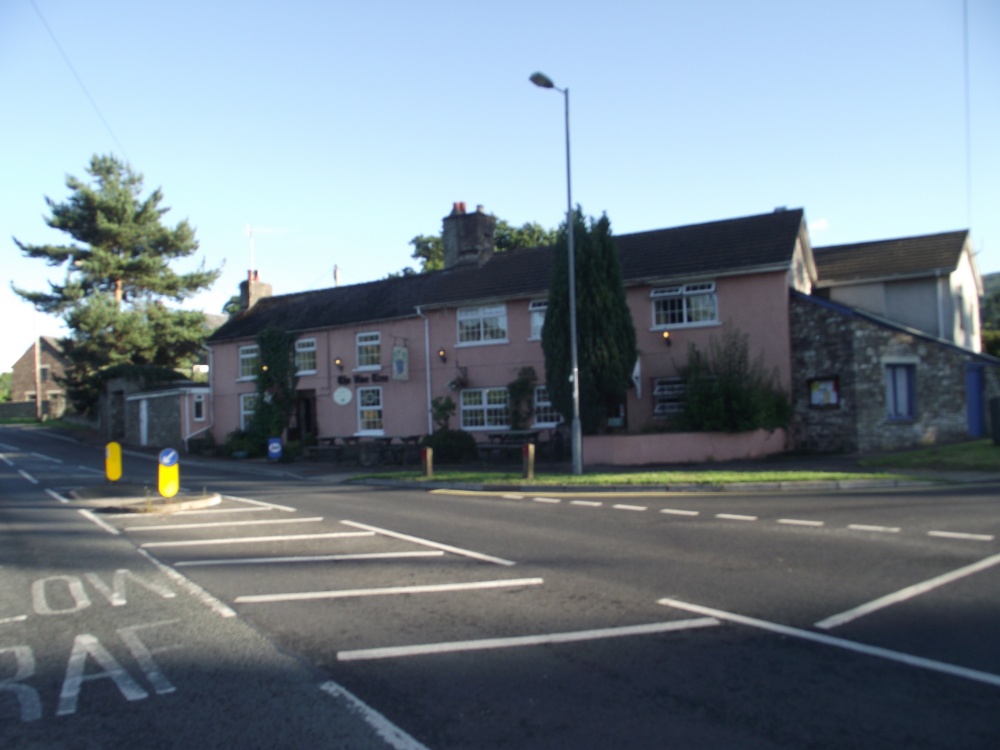 Vine Tree Public House