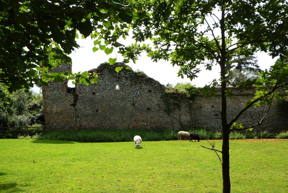 Photograph of A view of Mettingham Castle Walls
