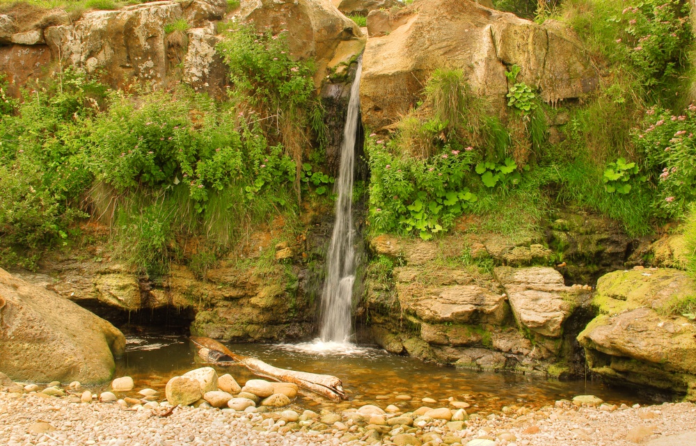 Photograph of Hayburn Wyke near Cloughton, North Yorkshire