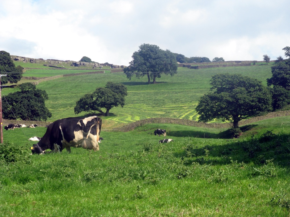 Leeds to Liverpool Canal