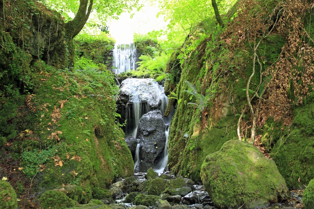 The Falls photo by Lorry Parton