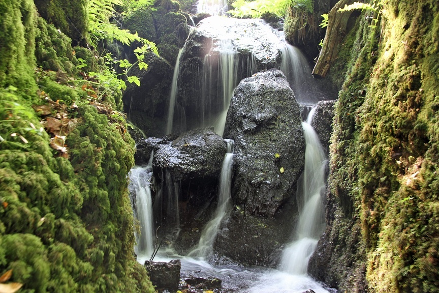 The Falls photo by Lorry Parton