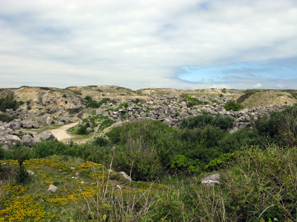 Tout quarry at Portland