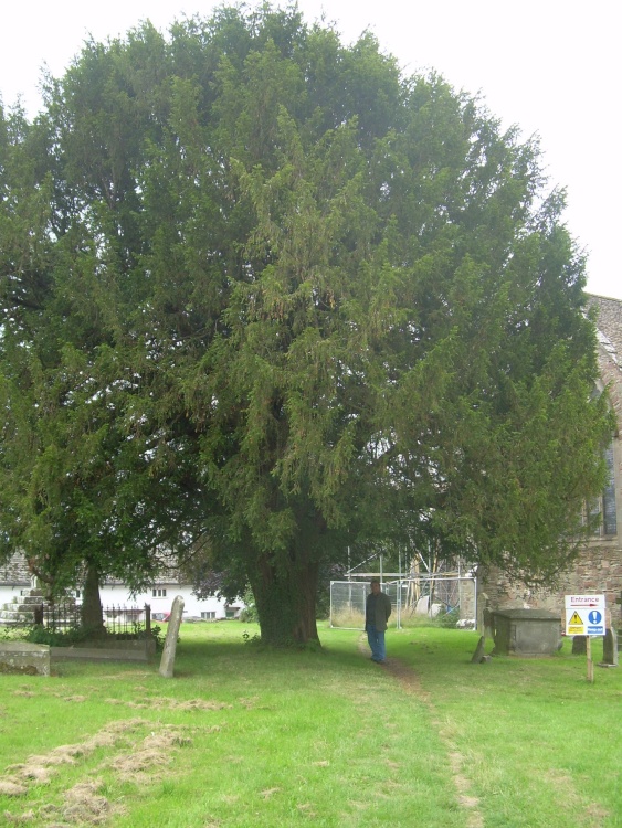 Newland parish churchyard