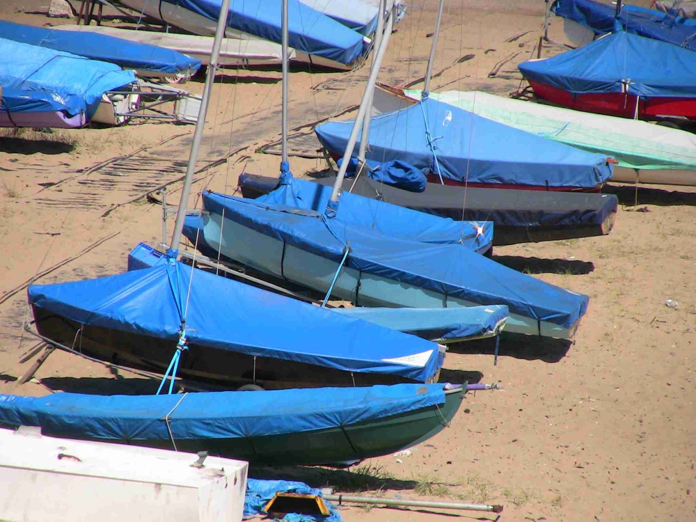 Boats of the Tynemouth Sailing Club