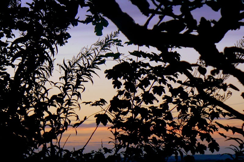 Photograph of Evening sunset