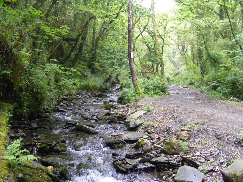 St.Nectan's Glen (Near Tintagel)
