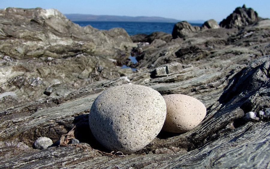 Photograph of Stones
