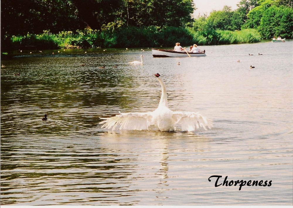 Photograph of On Thorpeness Mere