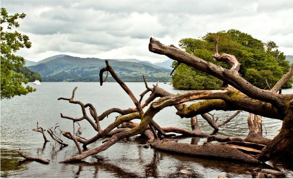 Moody day at Derwent water