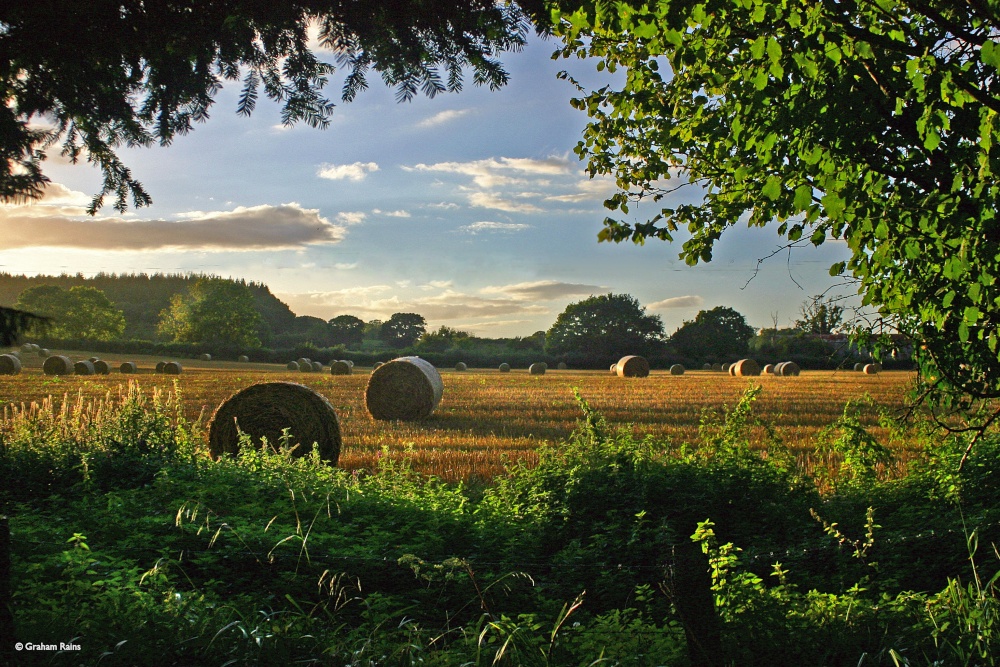 Photograph of Stour Valley Summer