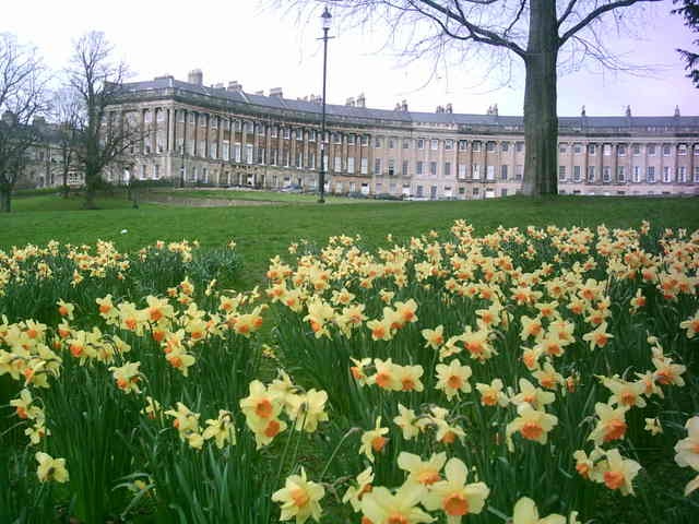 The Royal Crescent in bloom !