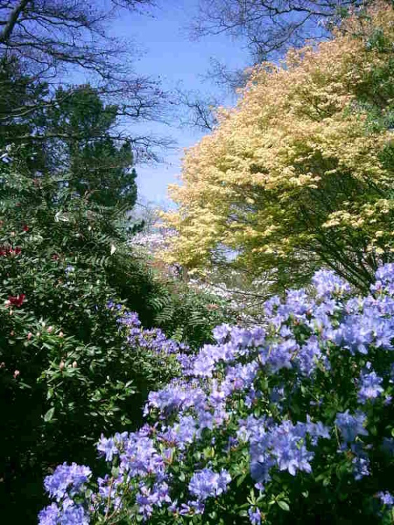 Birmingham Botanical Gardens in Bloom - Part 8